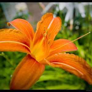 2009-06-28_already_visited.jpg