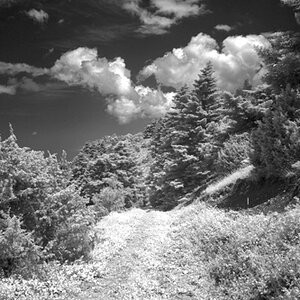 SDIM0388.JPG