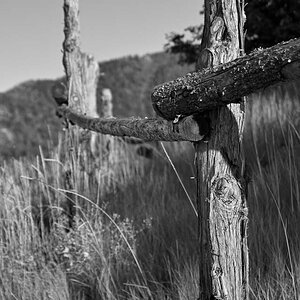 FencePost-bw.jpg