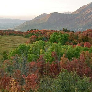 Fallsunset.jpg