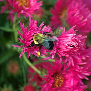 IMG02433_2.JPG