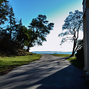 Lincoln Park 12_640.jpg