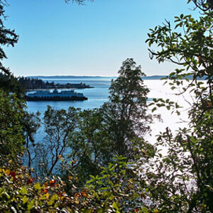 Lincoln Park 5_640.jpg