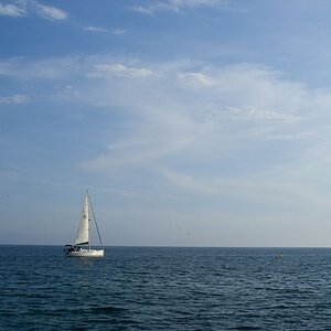 IMG03094.jpg