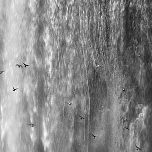 SDIM6602bw-det.jpg