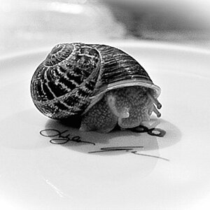 PIMG0057[1].jpg