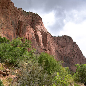 SDIM8723-s.jpg