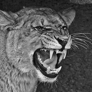 DSC_1424.jpg
