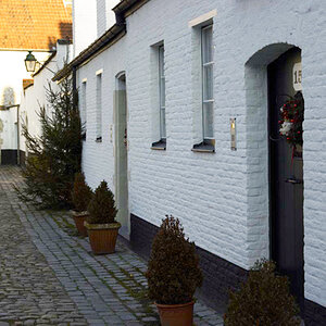 081227-begijnhof-Kortrijk-003287.jpg