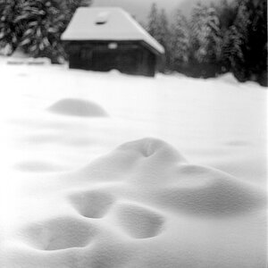 img158.jpg