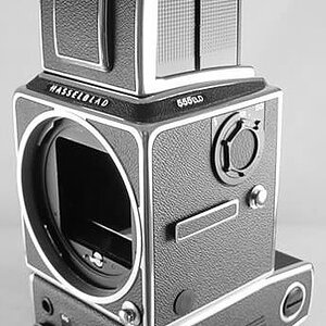 Hasselblad 555ELD-3-BW.jpg