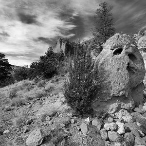 A_1216568bw.jpg