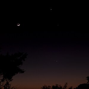 potw #254 CF037699.jpg