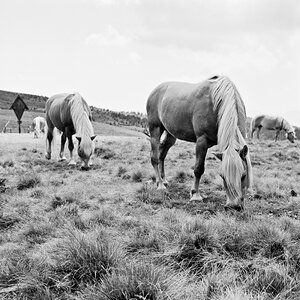20110817_lp_0001-3.jpg