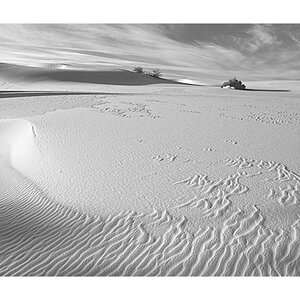 White Sand Dunes,NM007394-1.jpg