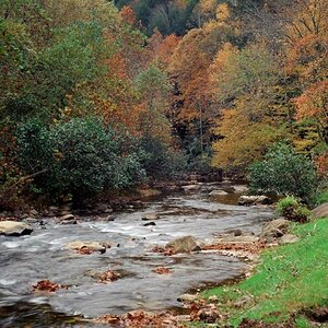 Fall Colors.jpg