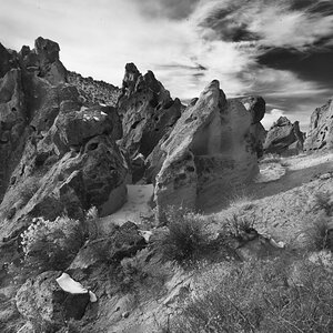 A_1216562bw.jpg
