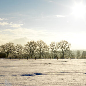 Winter-2011-11.jpg