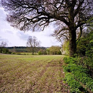 Field-42-small.jpg