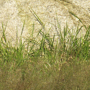 HB_0026_detail.jpg