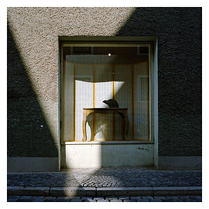 Schaufenster-10.jpg
