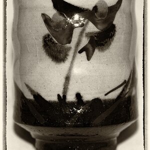 IMG_0205 Japanese Tea Cup BW XL.jpg