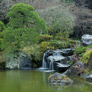 Narita temple pond 1.jpg