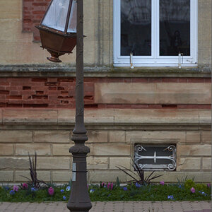 Photo '810_7273-2.jpg' in category 'Images I took this week'