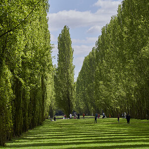 850_6264.jpg