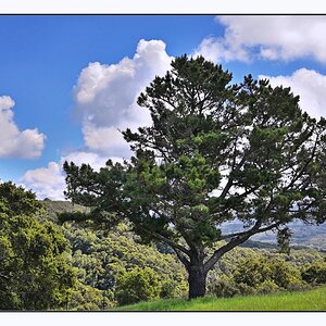 24_0414_NZ5_1020b.jpg