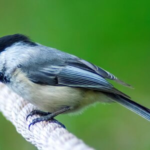 DSC_0164 (2)TOP_4_27_24 resiz 2.jpg