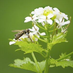 NIK_2033 final.jpg smaller.jpg