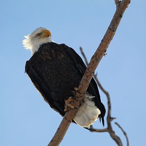 IMG_5485b.JPG