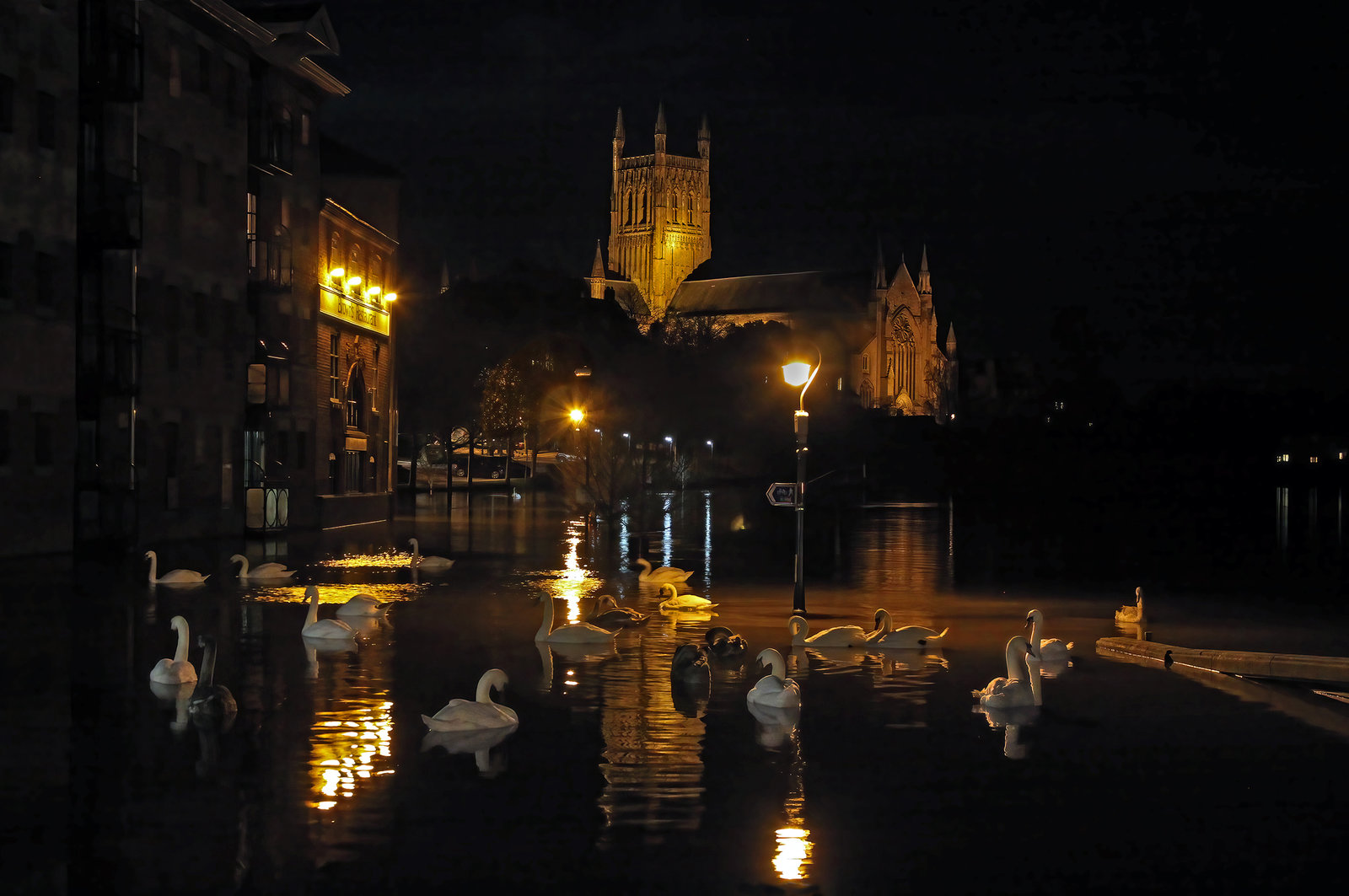 1 Flooded River Severn at Worcester, England lighter swans.jpg