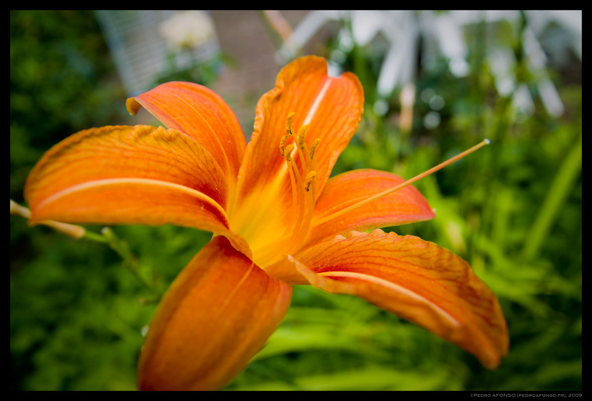 2009-06-28_already_visited.jpg