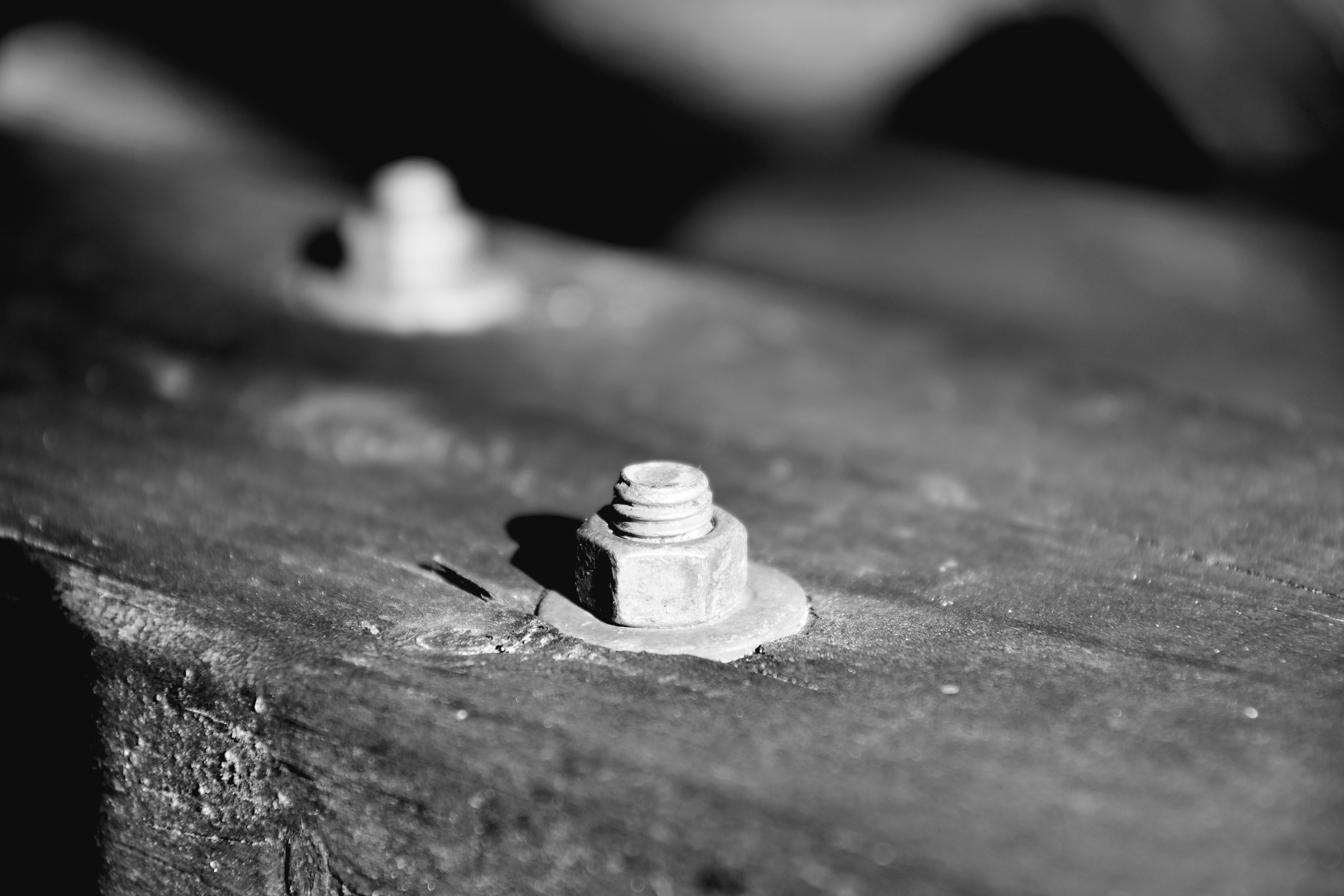 20230423_121504.jpg