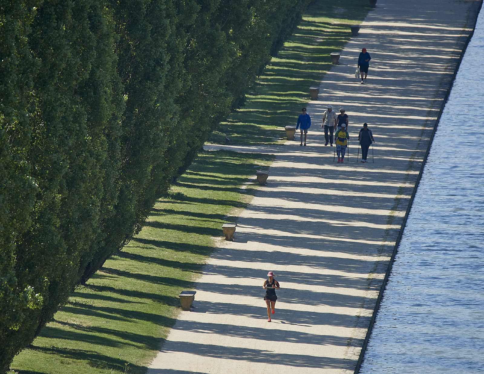 810_8113.jpg