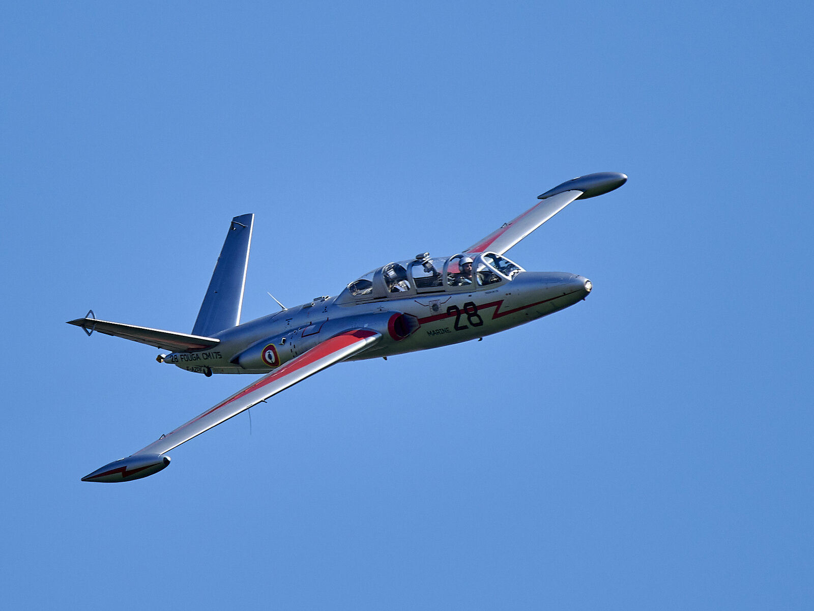 850_9955-1-1.jpg
