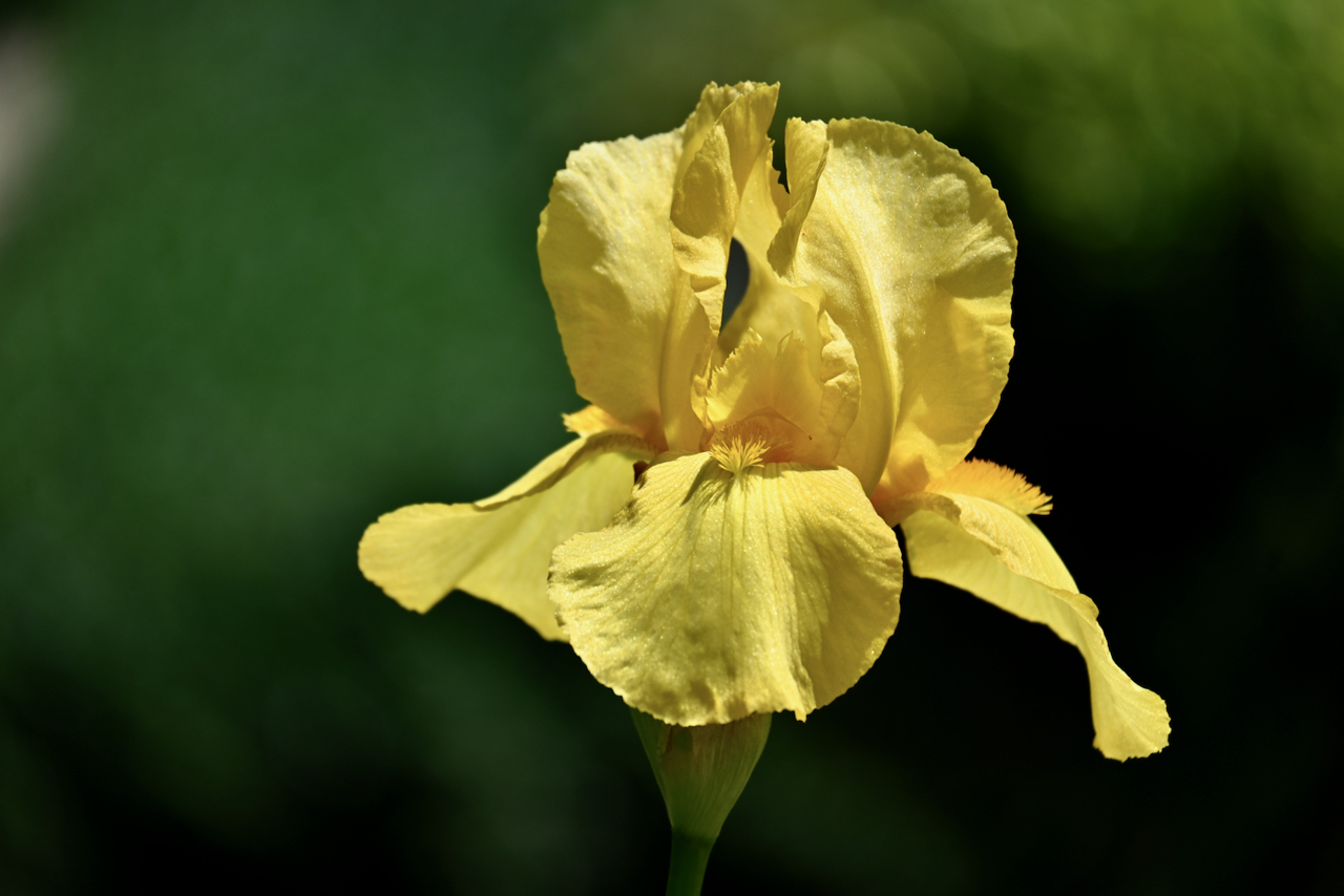 All Photos - 1 of 1 (7).jpeg