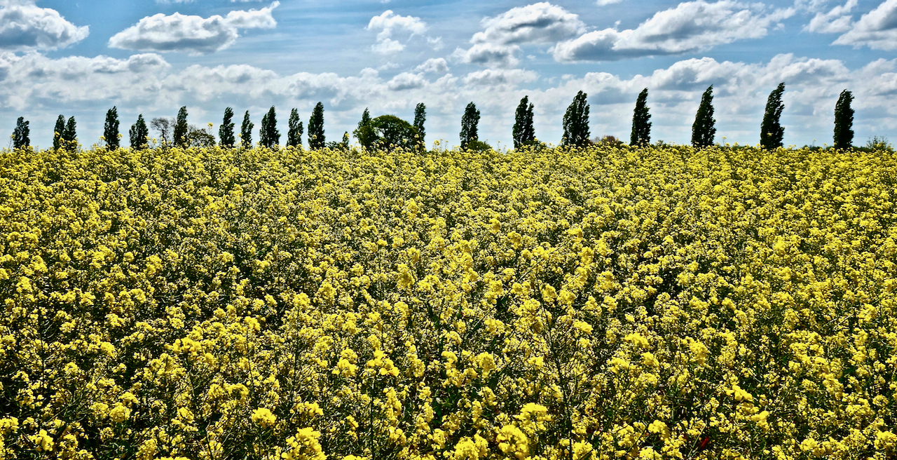 All Photos - 1 of 1.jpeg