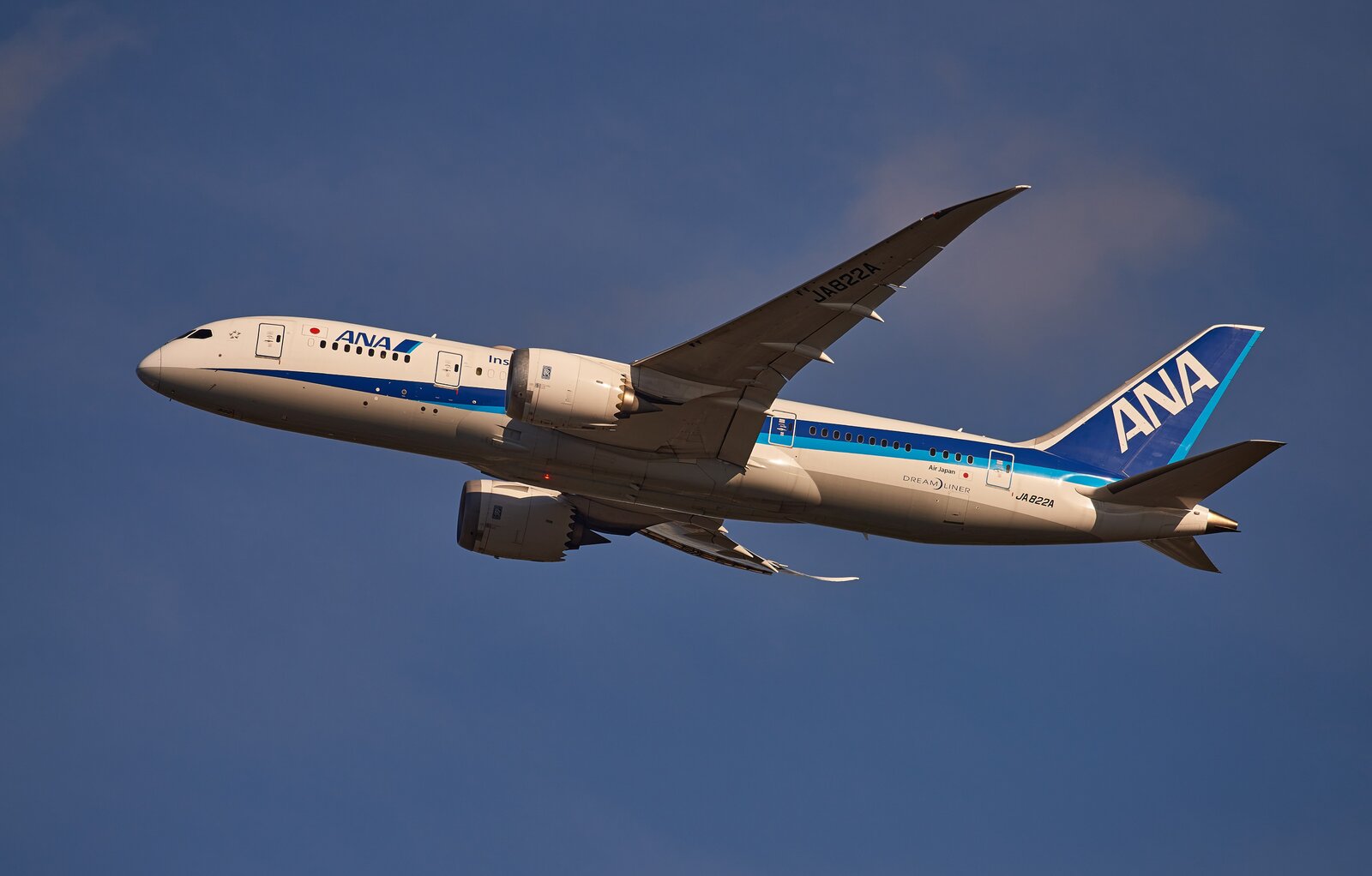 ana-787-small.jpg