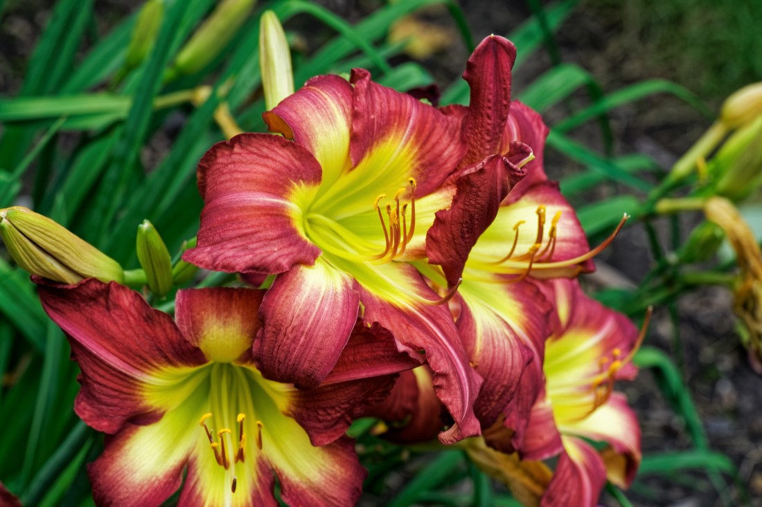 DSC03401_DxO.jpg