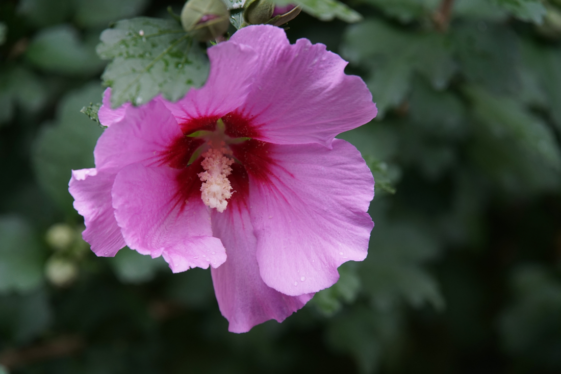 DSC03804_DxO.jpg