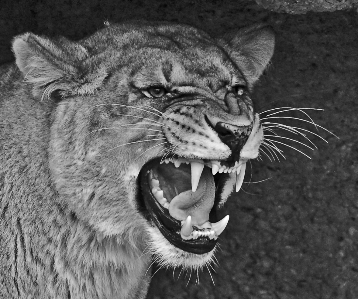 DSC_1424.jpg