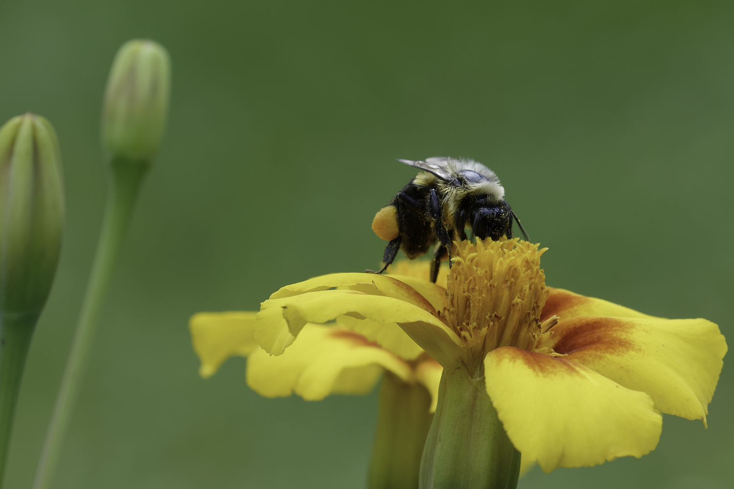 DSC_4451_DxO-1.jpg