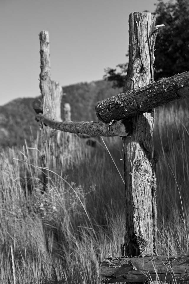 FencePost-bw.jpg