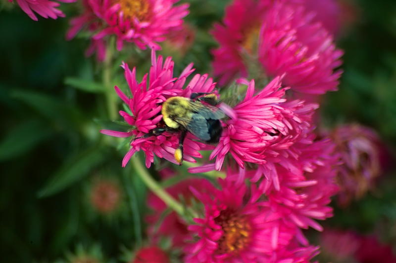IMG02433_2.JPG