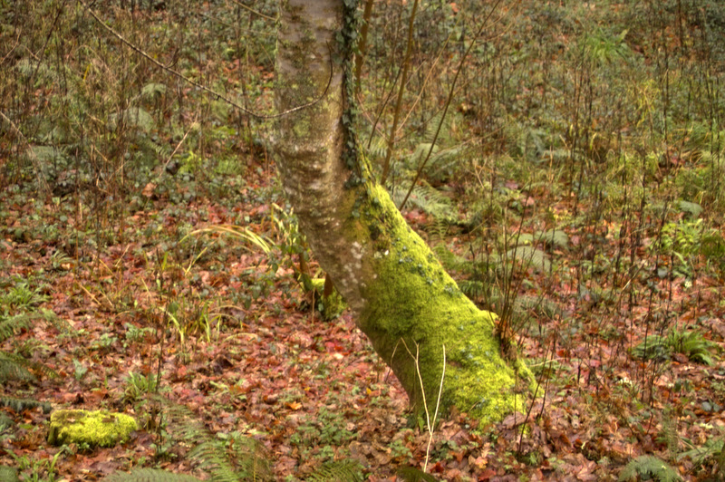 IMG02832.jpg