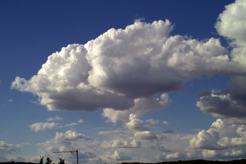 IMG03253.jpg