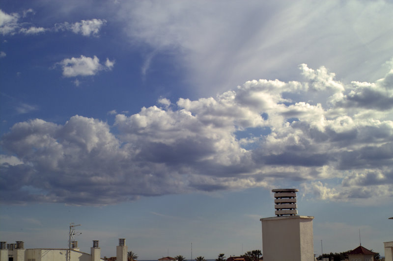 IMG03255.jpg